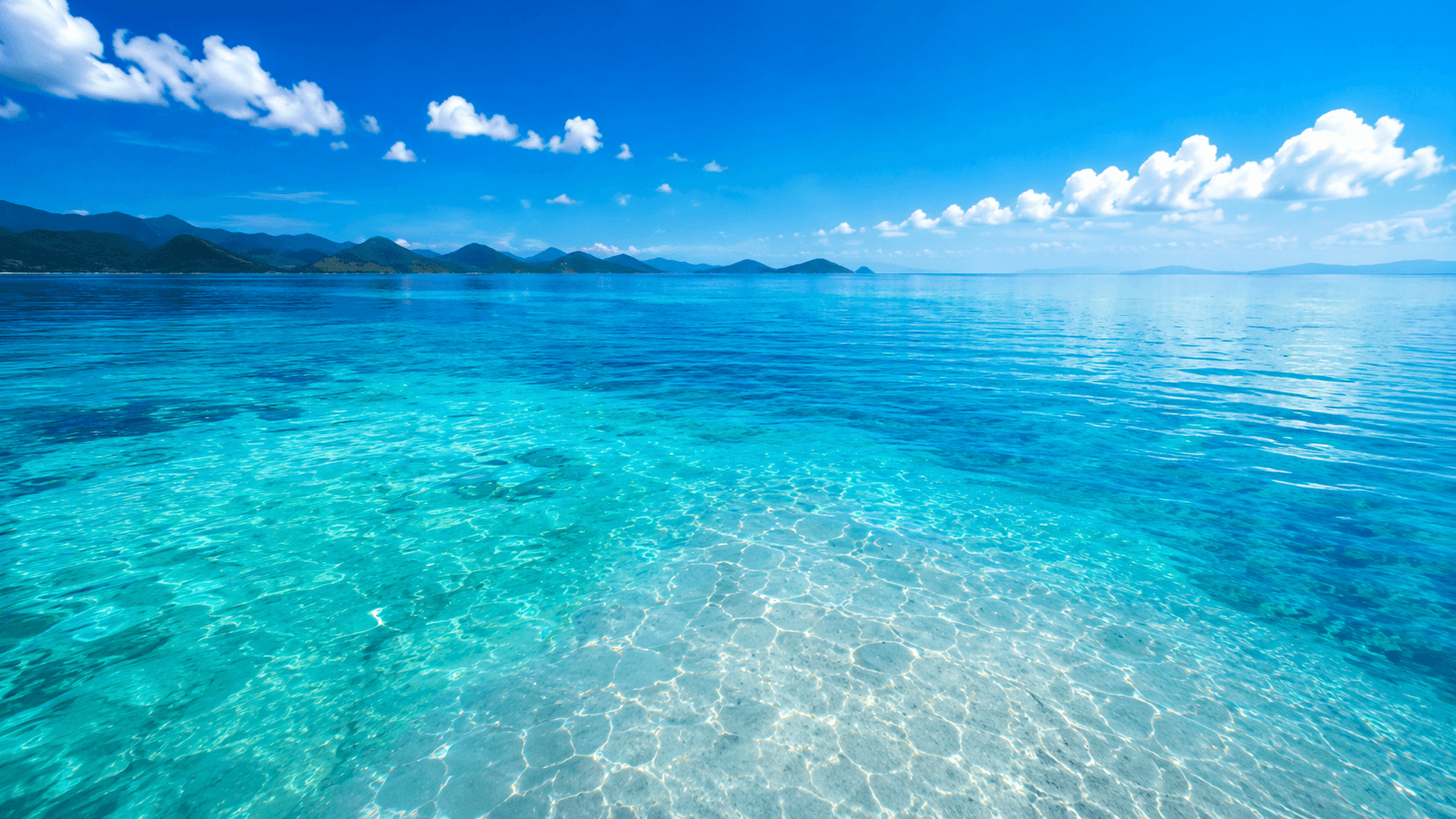 Lindungi Laut, Lindungi
Kehidupan